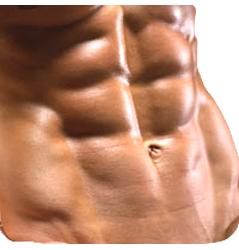 diet_tone_abs's profile picture. I have a Free diet advice website offering the best advice to lose weight & tone your body. The advice is from a leading nutritionist and fitness expert.