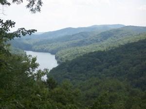 VariedInterests's profile picture. 