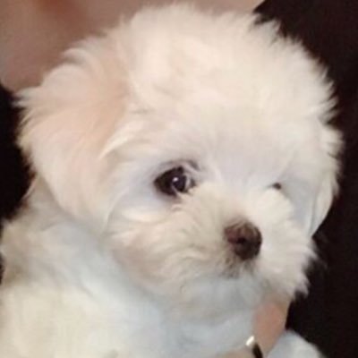 JxxxO2O7's profile picture. 