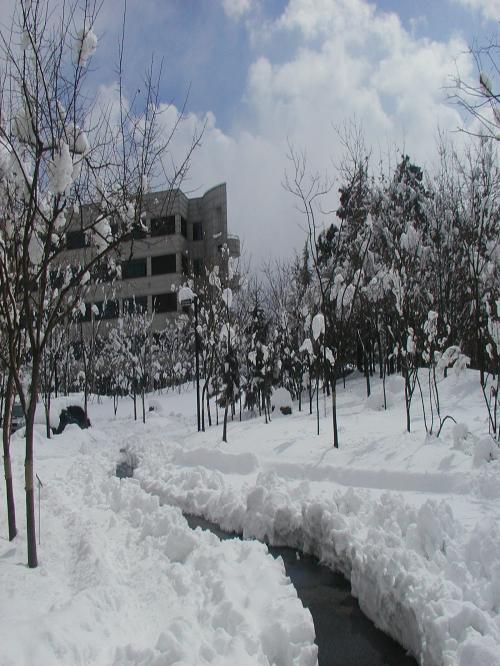 Computer Science, Network Management, Parallel Processing, Economy, Fund Manager, Stocks, Investments