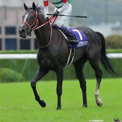 kros222's profile picture. 競馬 中央 地方 ダブル フォロー待ってます！ 無言フォローも失礼します！