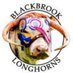 Blackbrook Longhorns 🐂 (@BlackbrookLong1) Twitter profile photo