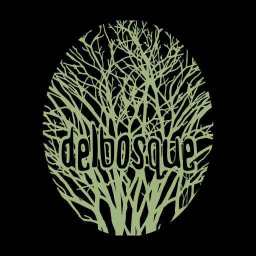 🚀 Orbitando entre el rock espacial, el noise, el shoegaze y el pop-rock de los 90.