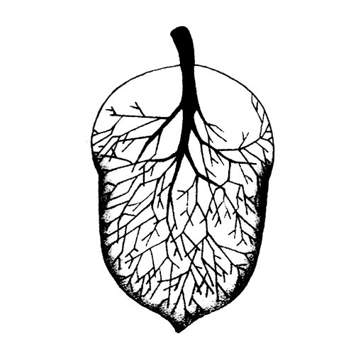An independent theatre company led by director Nell Ranney. Inside every acorn lies a potential oak, just as theatre can grow into future conversations.