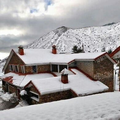 AdemNassima's profile picture. جزائرية محبة للعرب أمازيغية عاشقة الحرية داعمة لبنت بلدي كنزة والمصري مينا