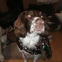 Neil Conley (@neilconley9) 's Twitter Profile