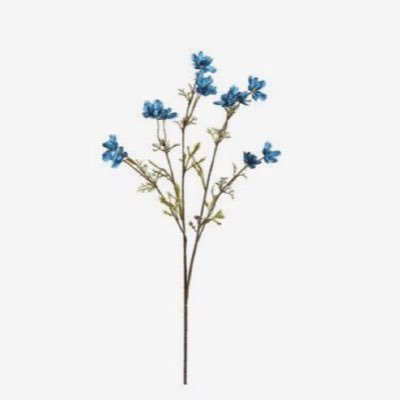 9an3a's profile picture. أ.ع.م. [أبوظبي] ~