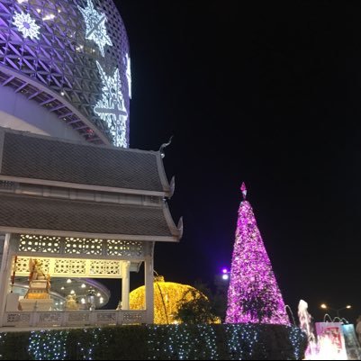 look4842's profile picture. ร้องเพลง