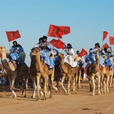 western sahara update