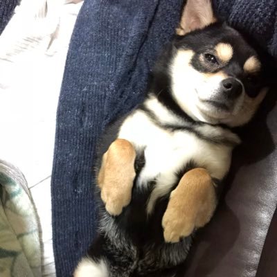 うだうだしてたらMBA行くタイミング逃したのでまた一年働いてからいきます、絶対と思ってたらいくチャンスなくなったので頑張って働くんだ