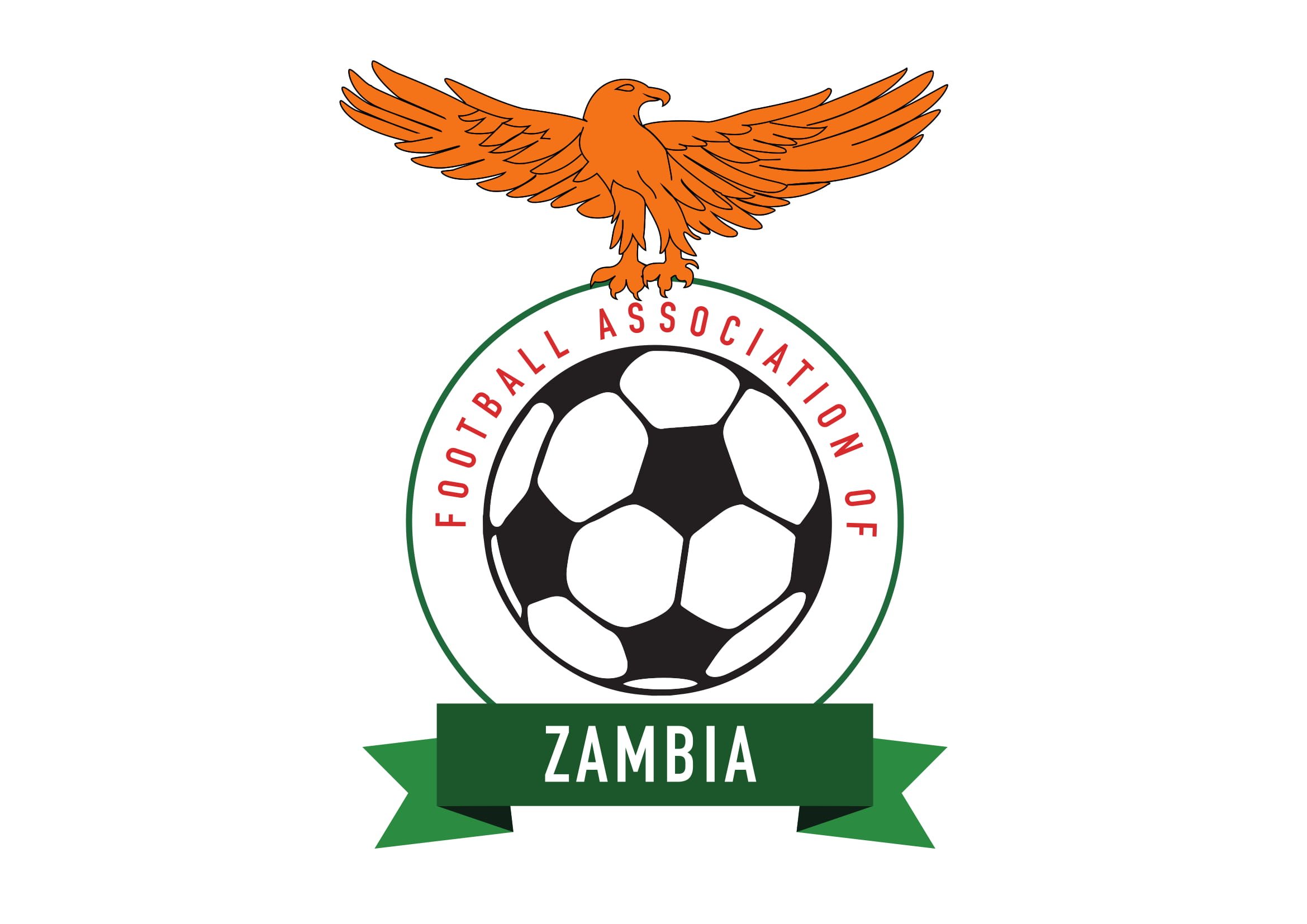 Image result for Zambia Football Association