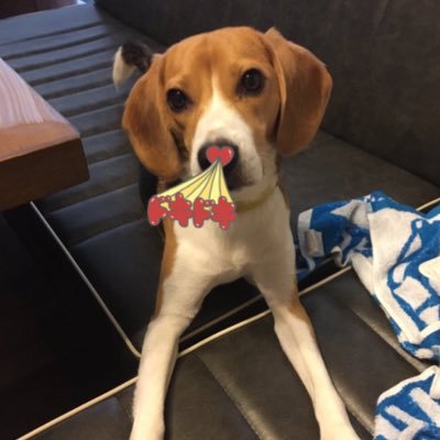 goodjobsamantha's profile picture. 