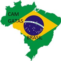 CamGatas Brasil 🔞 (@camgatasbrasil1) 's Twitter Profile