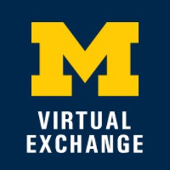 We support and evangelize the use of Virtual Exchange in creating courses shared with international partners.