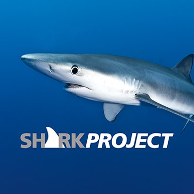 SHARKPROJECT – internationally active in the research, education and advocacy for the conservation of sharks and the marine ecosystems