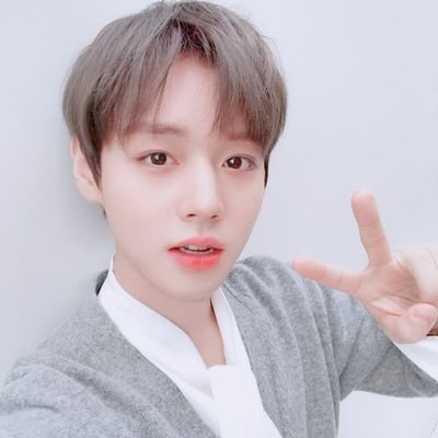 워너원 올괜 박지훈 최애 💭 핑핑 밤과 수달 지니 HA구름 죠스나무 지성씌 오리 미공 부대왕 녤쥐 하셍운이 윤영 예링 하셍언 민혠시 하구르밍 경갱 달브링 💭 제가 당신들을 사랑하고 있어요