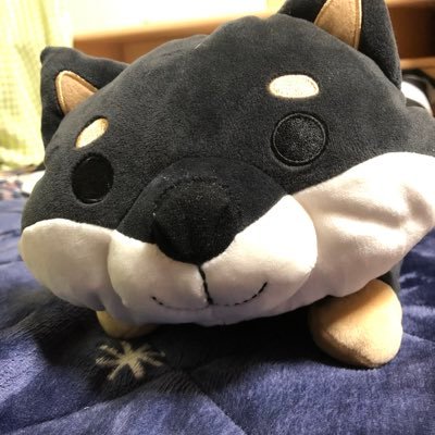 blackshiba117 Profile Picture