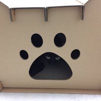 もふまる (@mari04800851) 's Twitter Profile