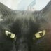 My Left Paw ๐ (aka Darryl Griffin) (@cheche_guevara) Twitter profile photo My Left Paw ๐ (aka Darryl Griffin) (@cheche_guevara) Twitter profile photo