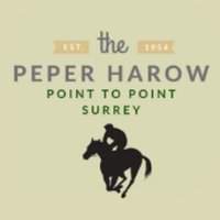 PeperHarowP2P (@peperharowp2p) 's Twitter Profile