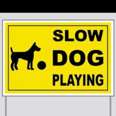 slow dog1