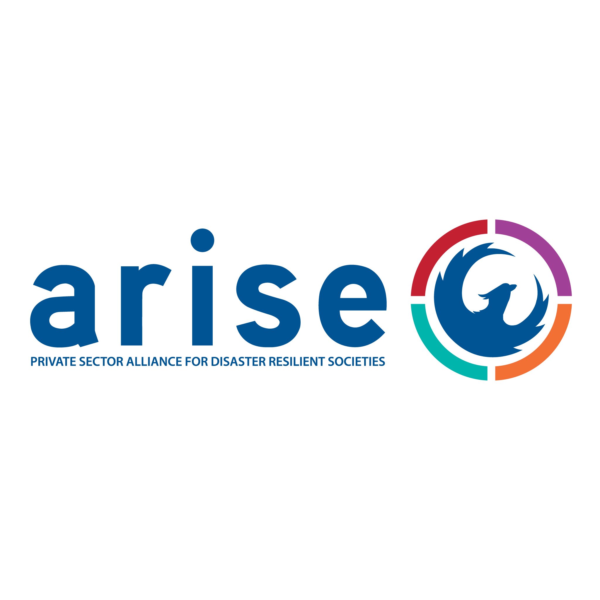 Alianza del Sector Privado para la creación de Sociedades Resilientes.
Contacto: info@arise.mx