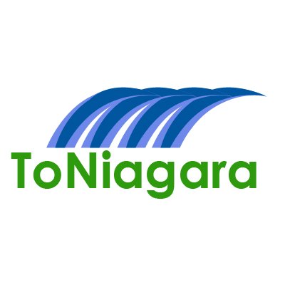 Book Toronto to Niagara Falls Tours with ToNiagara. We offer Niagara Falls Day Tours, Evening Tours & Private Tours.
