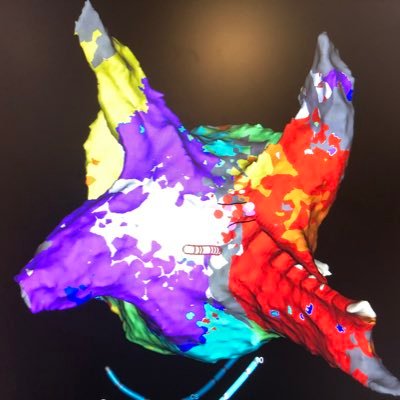 Smart people like the colorful pictures that I make on a computer.