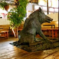 珠 (@manmaruniikiyou) 's Twitter Profile Photo