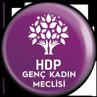HDP Genç Kadın Meclisi(@hdpgenckadin) 's Twitter Profile Photo