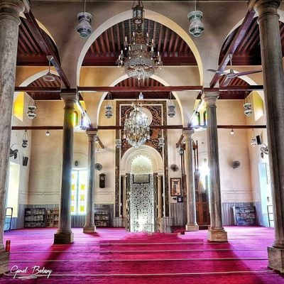 Menna30524325's profile picture. 