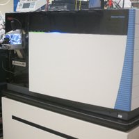 Yale/NIDA Neuroproteomics Center (@neuroproteome) 's Twitter Profile