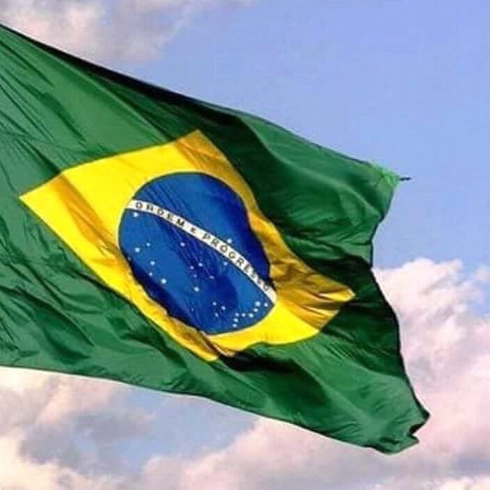 Bresil_'s profile picture. Le navigateur portugais Pedro Alvares Cabral découvre les côtes brésiliennes le 22 avril 1500.