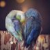 Ghada Jawad (@ghadahjawad) Twitter profile photo Ghada Jawad (@ghadahjawad) Twitter profile photo
