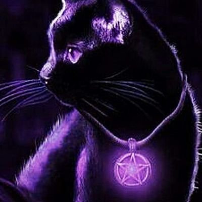 727_lee's profile picture. Minecraft cats corgis YouTube and video games