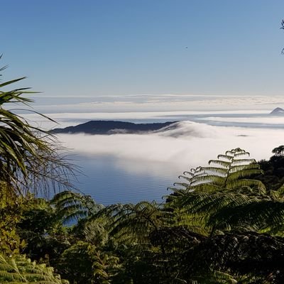 BenZwartz's profile picture. 