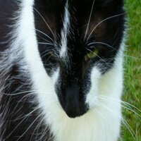 Jane Phillips (@jane1706) 's Twitter Profile