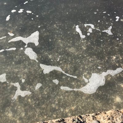 000zerozero18's profile picture. 