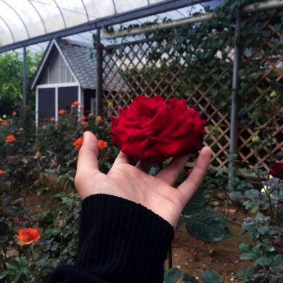 syfzmn's profile picture. Saiful Izzat ❤️