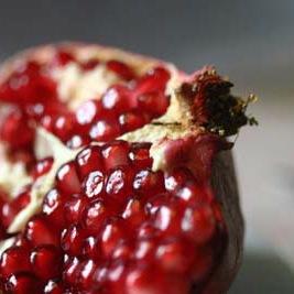 Pomegranate Arts