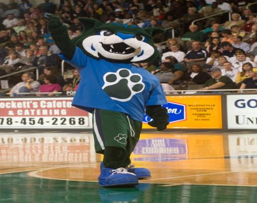 ThunderBobcat's profile picture. I am the official costumed mascot and goodwill ambassador of Georgia College!