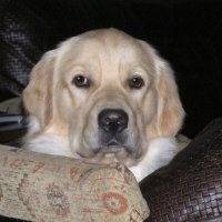 myaka (@myaka) 's Twitter Profile