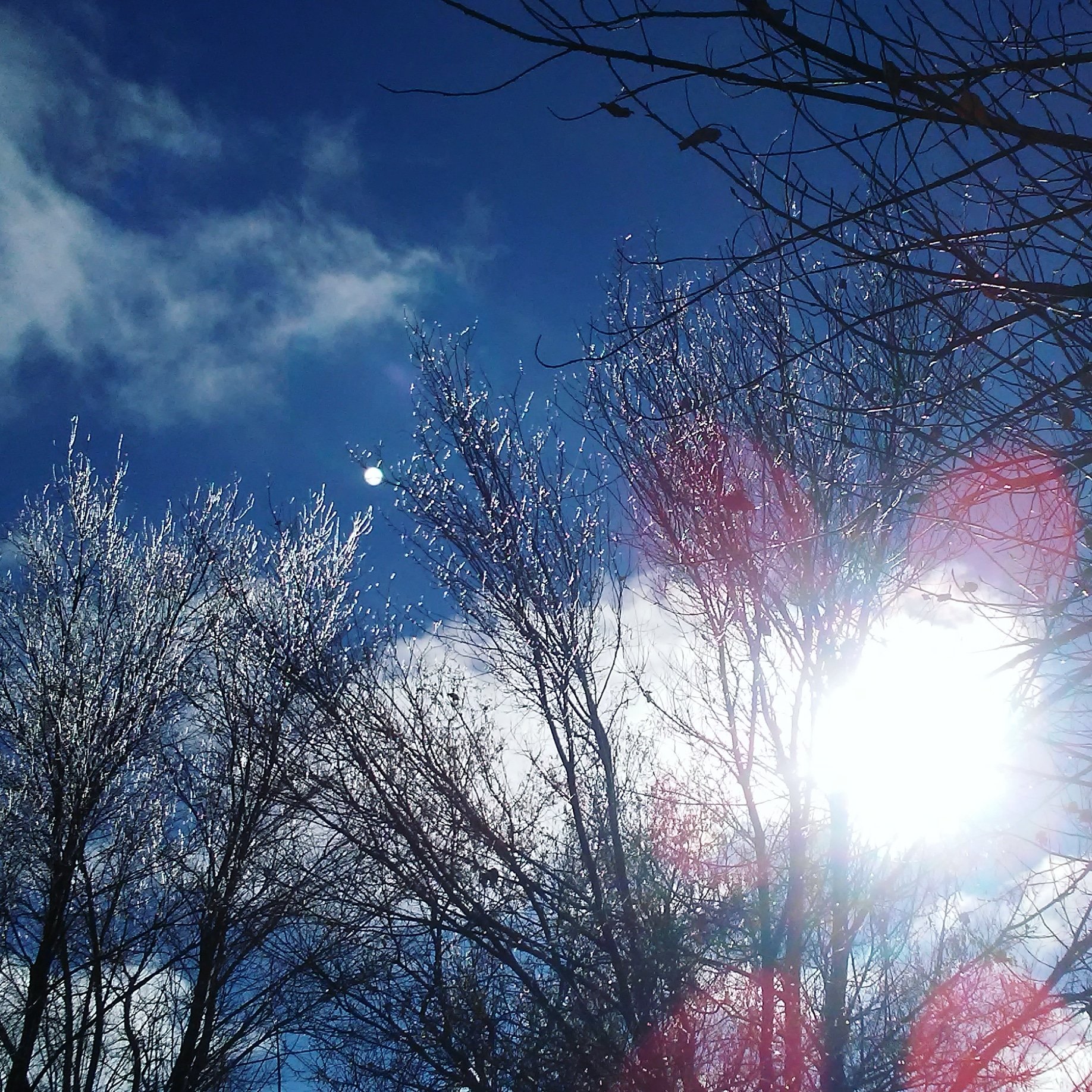 Cosmic_Demilich's profile picture. Andy