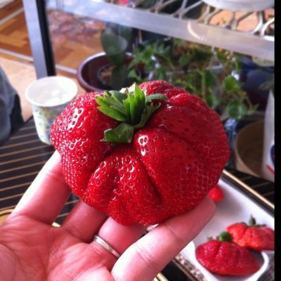 usiototorasaiko's profile picture. キャンプ好きだけど熟睡できたことないおっさん