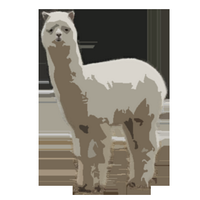 就活のためのWEBテスト.jp (@webtest_jp) 's Twitter Profile