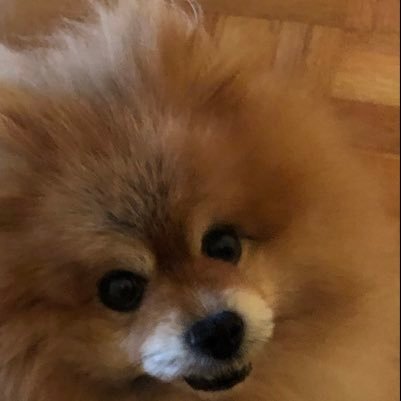 Dribble god streaming always fun unique bo4 god bo: