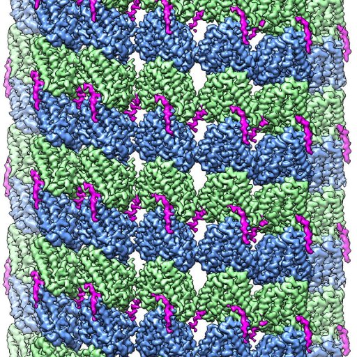 The Nogales Lab at UC Berkeley. #CryoEM #Transcription #Microtubules #ChromatinModification #Telomerase Twitter account managed by lab members.