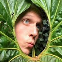 @andyray.bsky.social(@andrewray) 's Twitter Profile Photo @andyray.bsky.social(@andrewray) 's Twitter Profile Photo