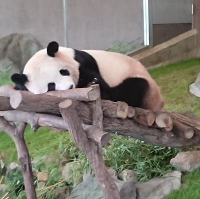 名古屋/初心者から事業主へ進化/副業で会社員/車/モータースポーツ/野球/テニス/脱ローン地獄/物販ビジネス展開/