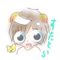 すたとら@モルフォンになりたい (@statra_poke19) Twitter profile photo